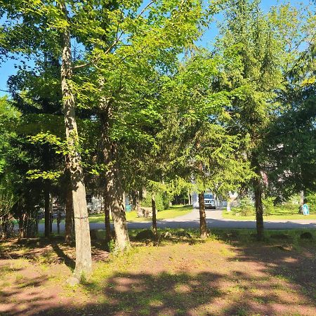 Cozy Chalet Free Wi-Fi, And Grill Vila Pocono Country Place Exterior foto