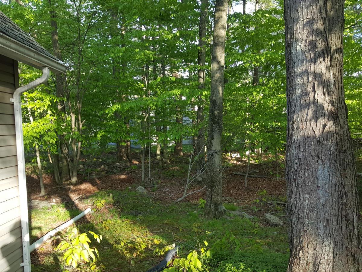 Cozy Chalet Free Wi-Fi, And Grill Vila Pocono Country Place Exterior foto